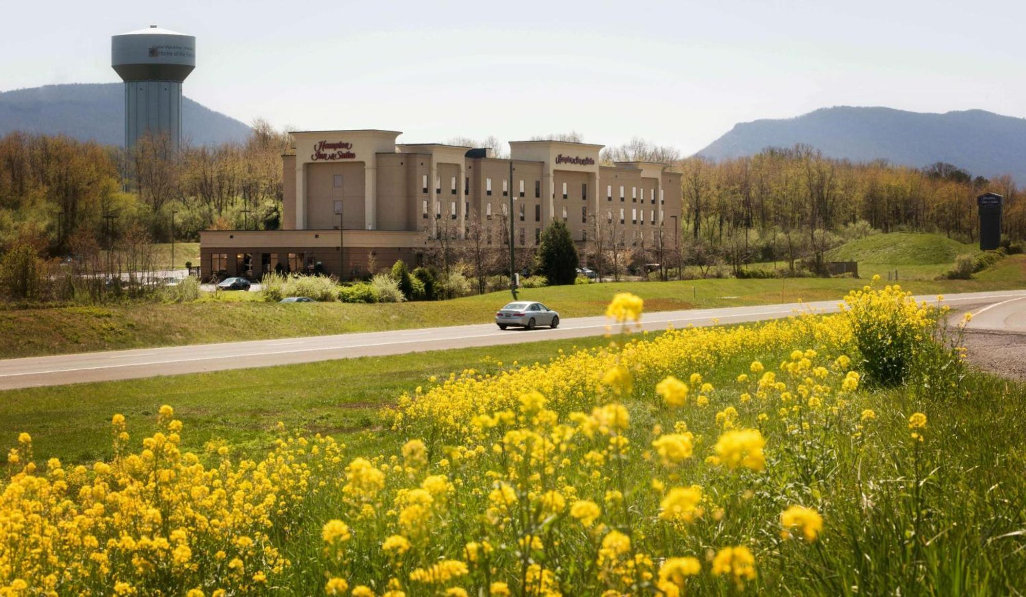 Hampton Inn And Suites Woodstock, Virginia Екстер'єр фото